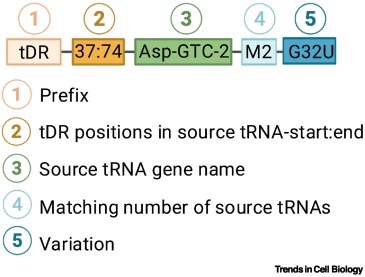 Trends Cell Biology tweet media