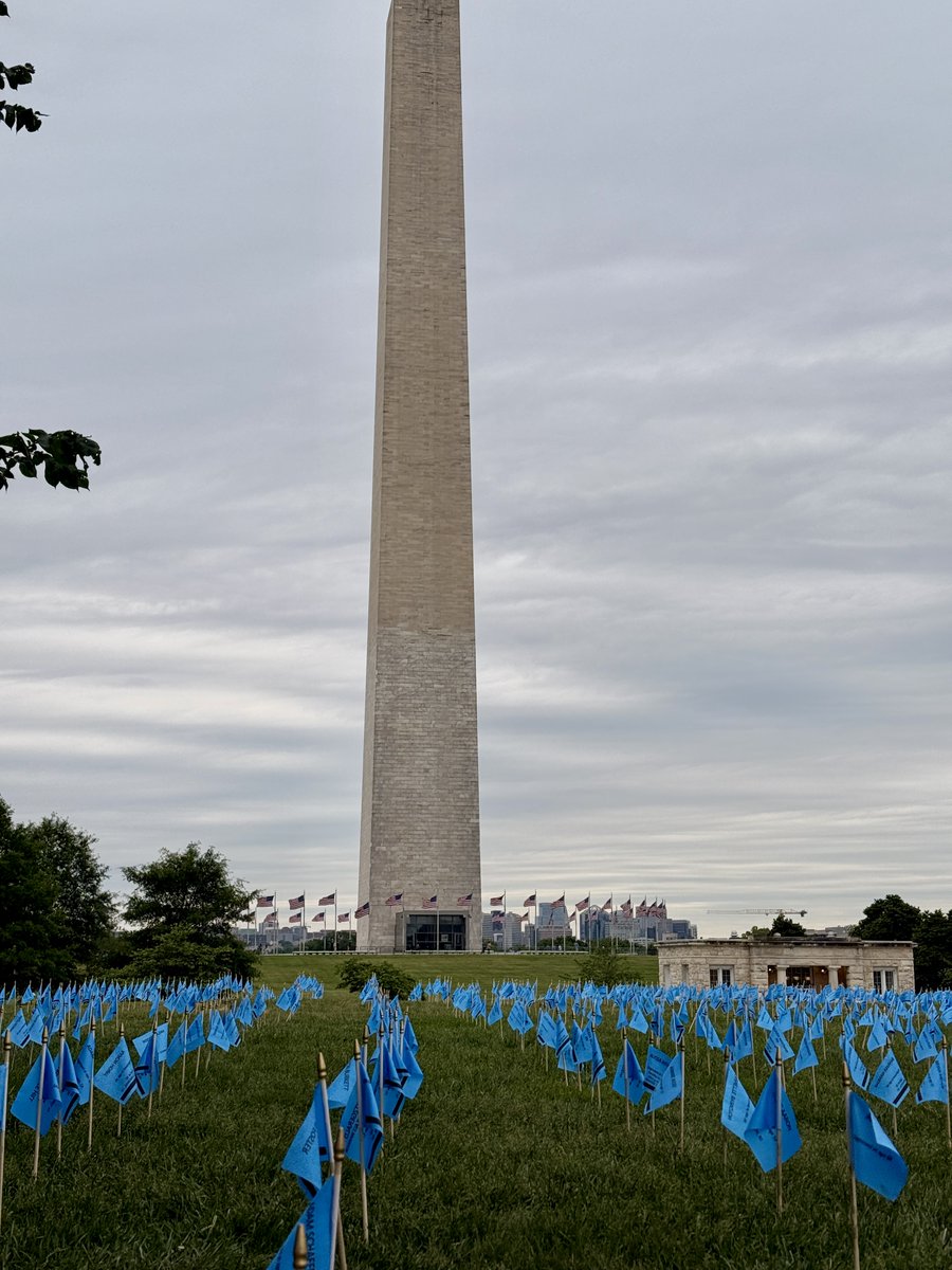WSWDC's tweet photo. WSW’s Mike Merola and Tony Wyatt joined the 5th Annual I AM ALS Community Gathering &amp; Awareness Event.  Each of the 6000+ flags represents a person with ALS that we have lost. https://t.co/qfE2s632Ke
