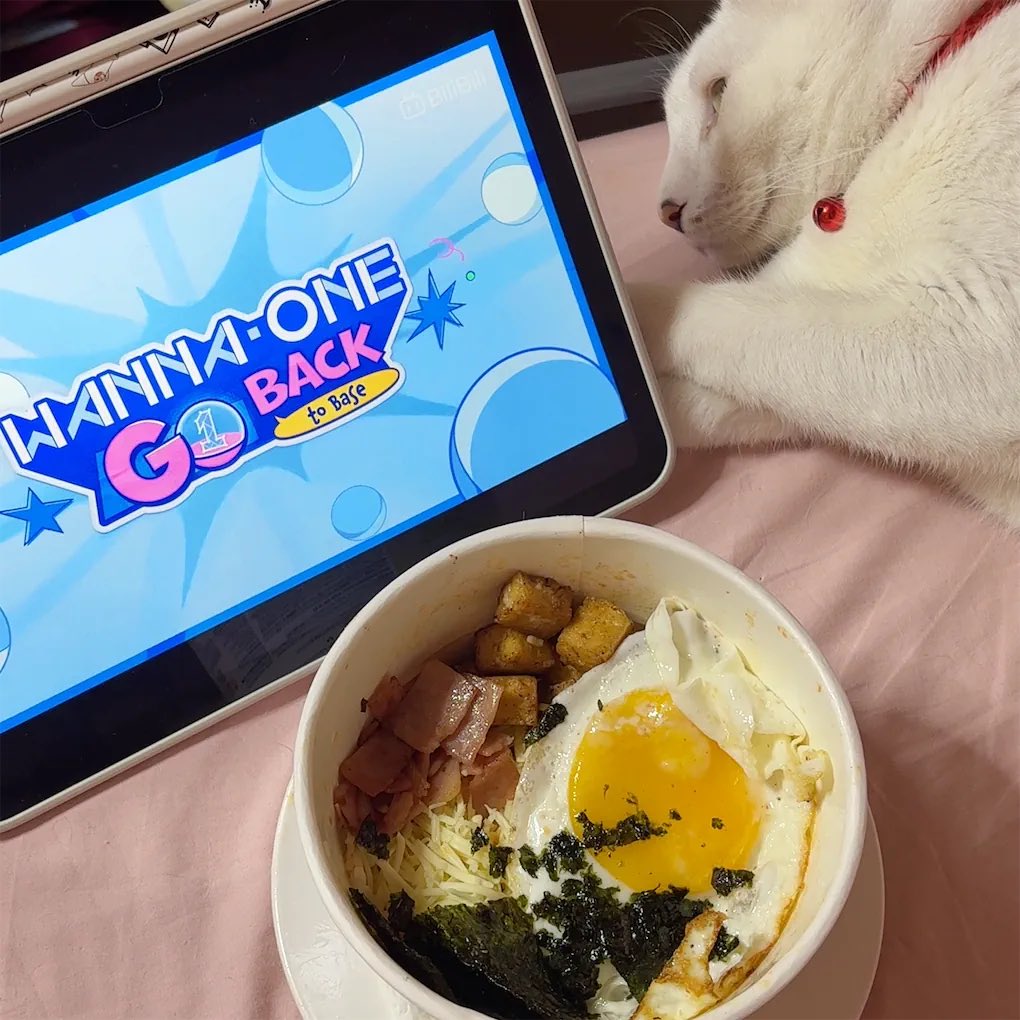 ˚₊‧꒰ა eri ໒꒱ ‧₊˚ tweet media