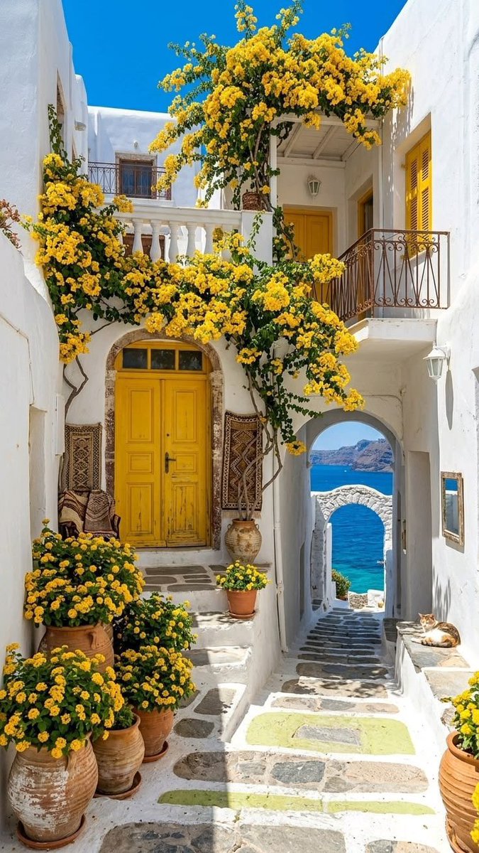 💛
