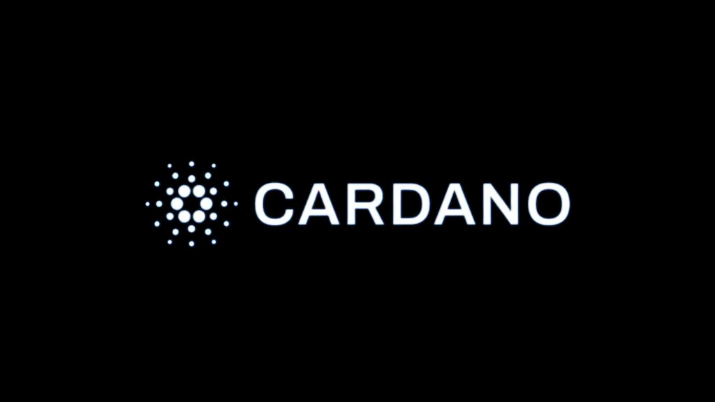 XRP CAPTAIN 589✪ tweet media