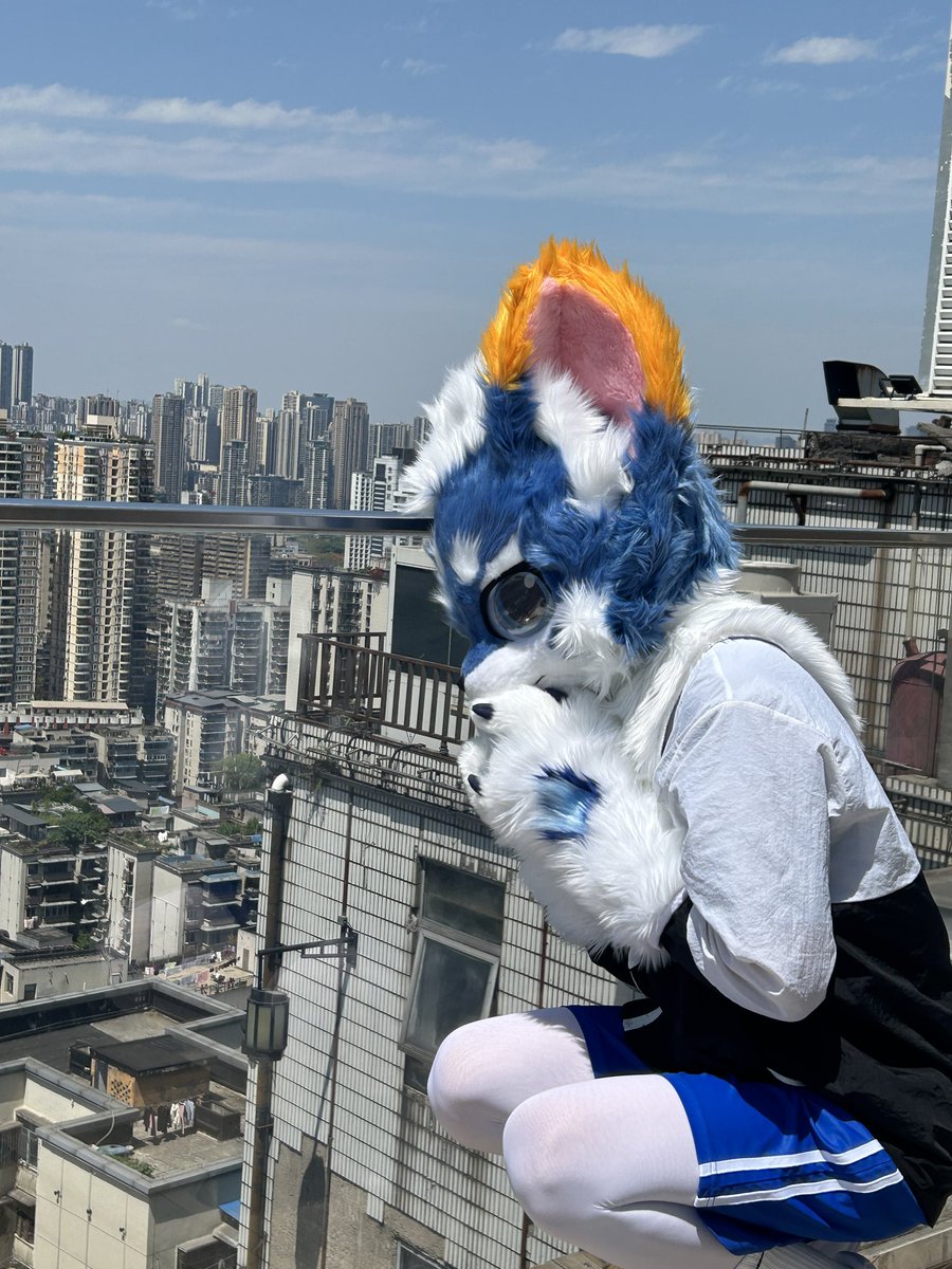 Appfelsin's tweet photo. 下面好高哦，不敢看
#fursuitfriday #furry https://t.co/0xmyIPLiLO
