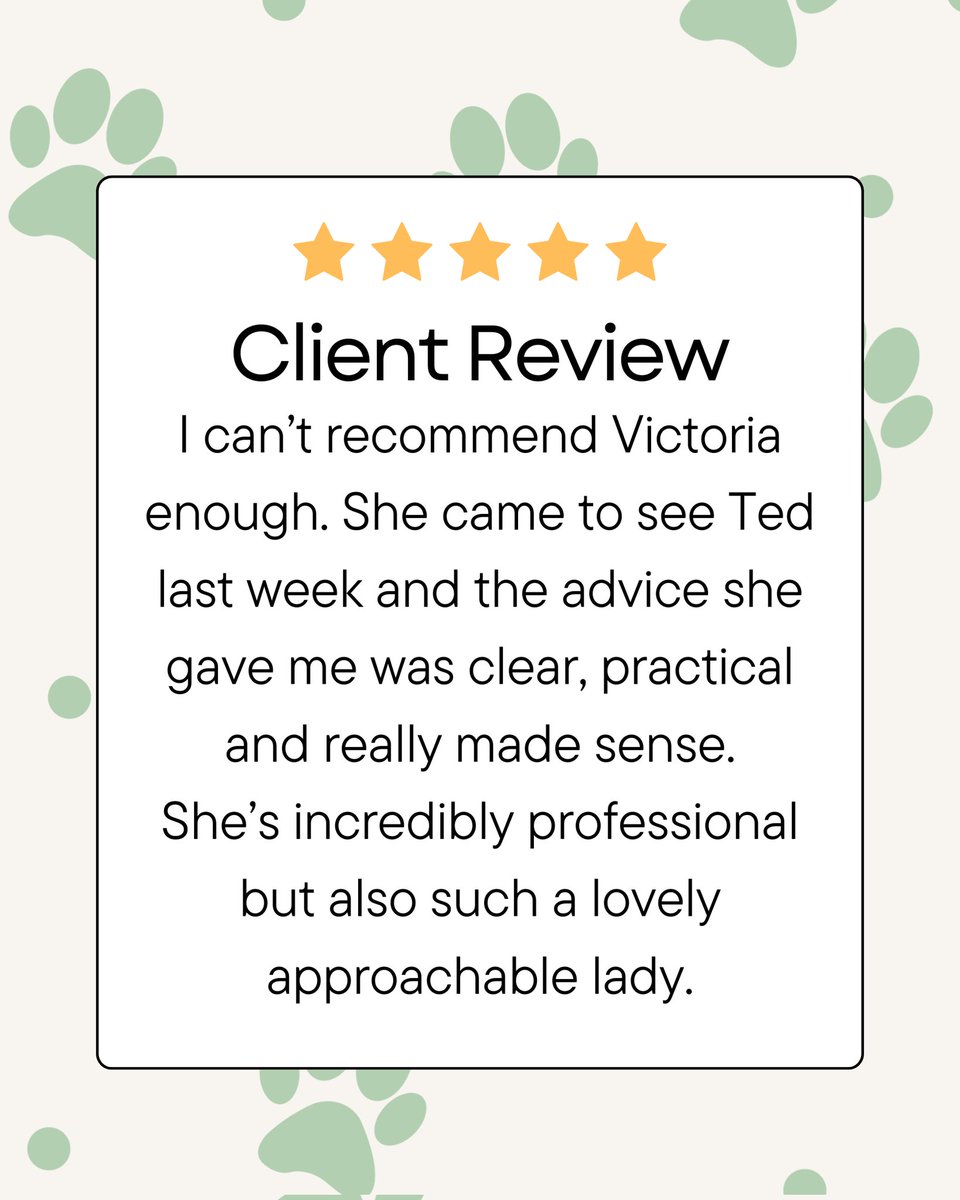 Paws & Reflect Dog Behaviourist & Trainer tweet media