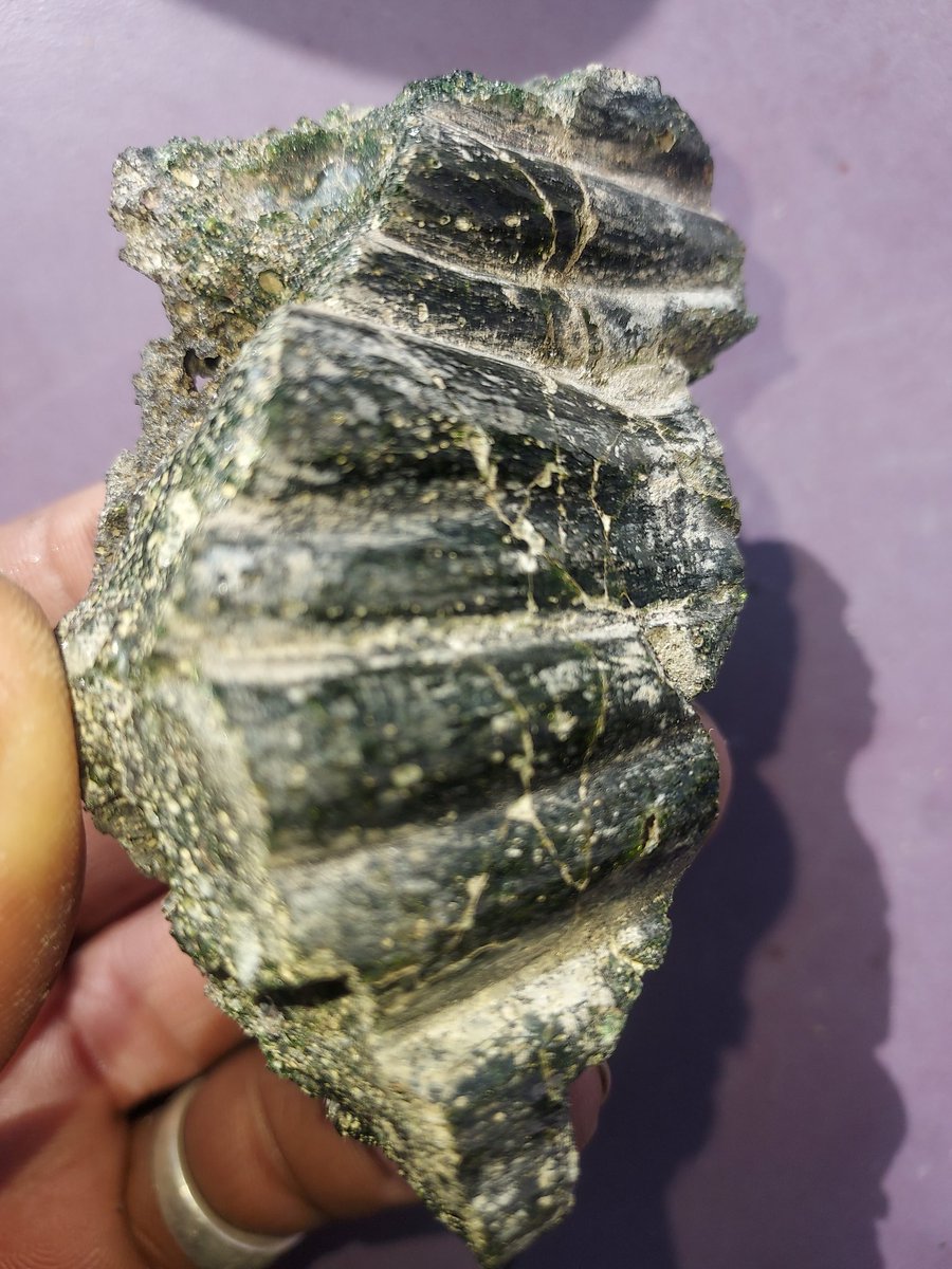 FisherRodger's tweet photo. Stone Love. https://t.co/FiFVl7uD3H