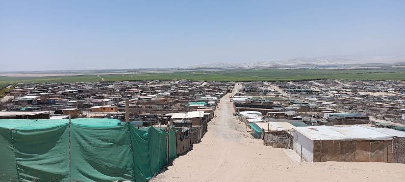 Villa Rotary está literalmente al lado de las parcelas de la agroindustria. son familias migrantes de sierra y selva central que llevan DÉCADAS en la zona. trabajan en la industria pero apenas pueden subsistir con sus ingresos, tampoco tienen acceso a servicios básicos