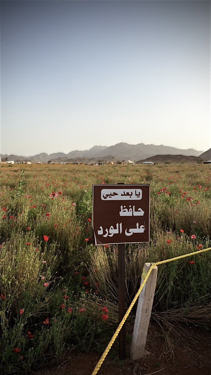 ِ tweet media