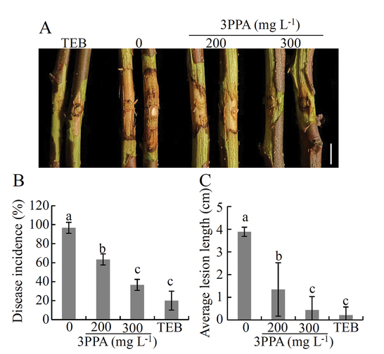 Canadian Journal of Plant Pathology tweet media