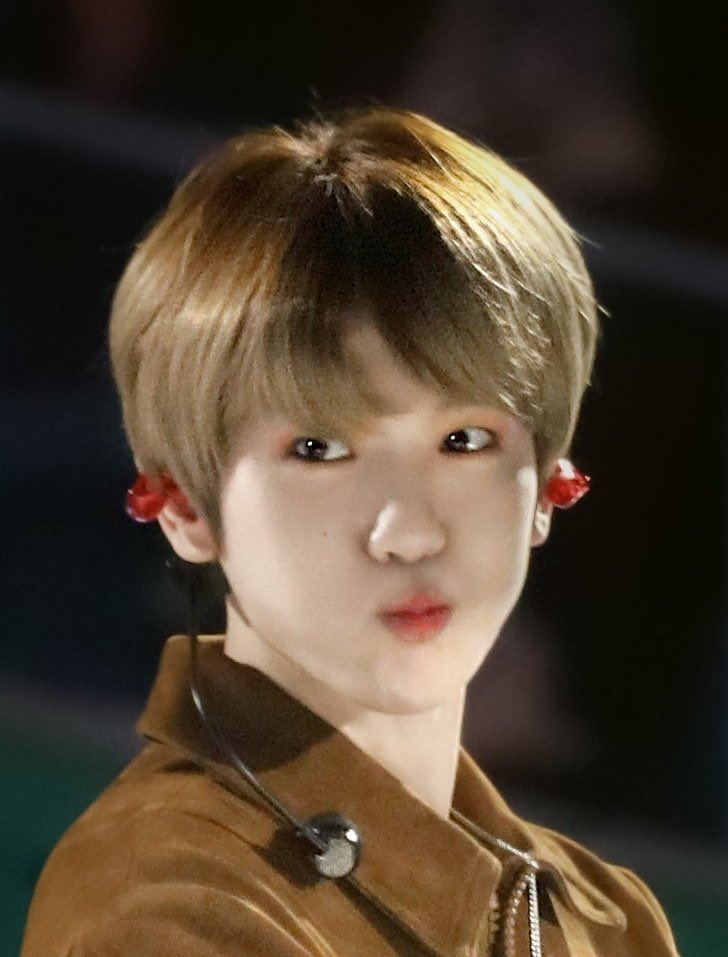 비행..이 tweet media