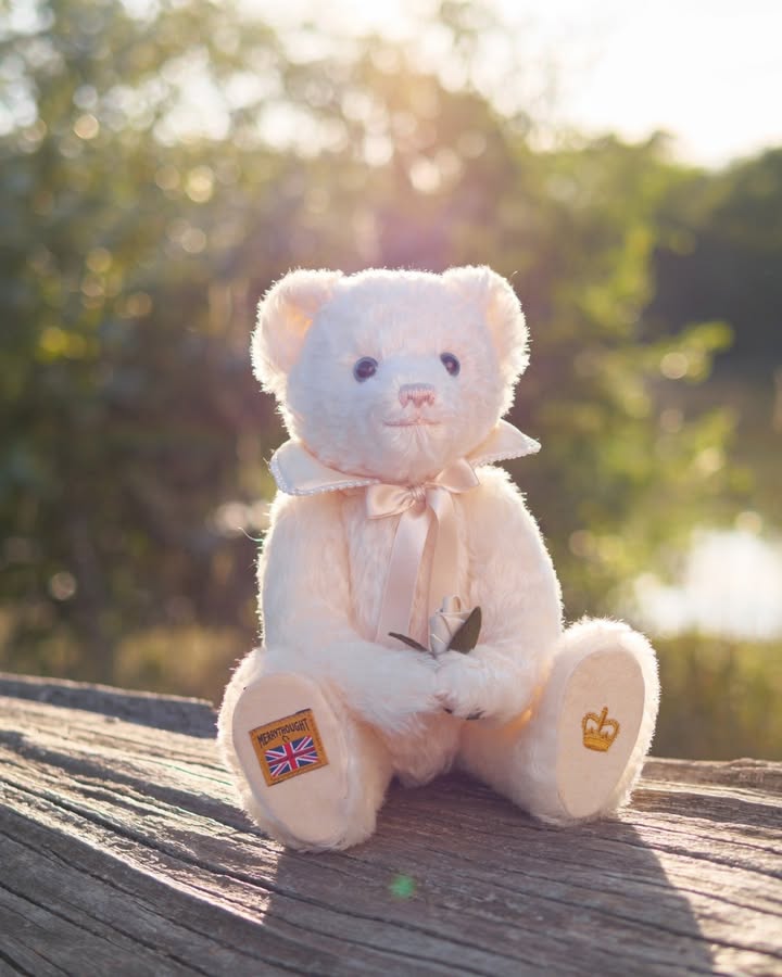 Teddybearland tweet media
