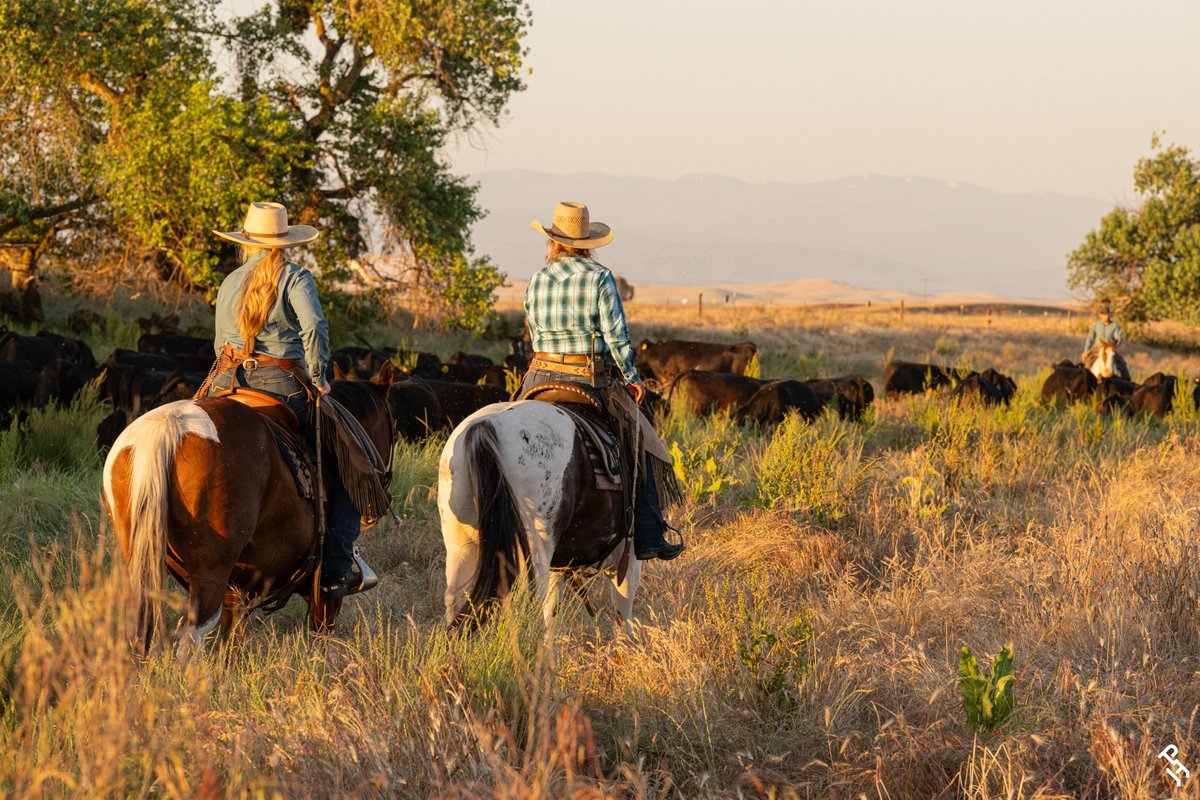APHAnews's tweet photo. Your feedback continues to shape the future of APHA, and the results help prove it. 👏

Read more about the 2026 survey results 🔗 https://t.co/A0kEpy7yWi

#MarkedForGreatness | #APHA | #PaintHorse https://t.co/R7OIZ9IDYg
