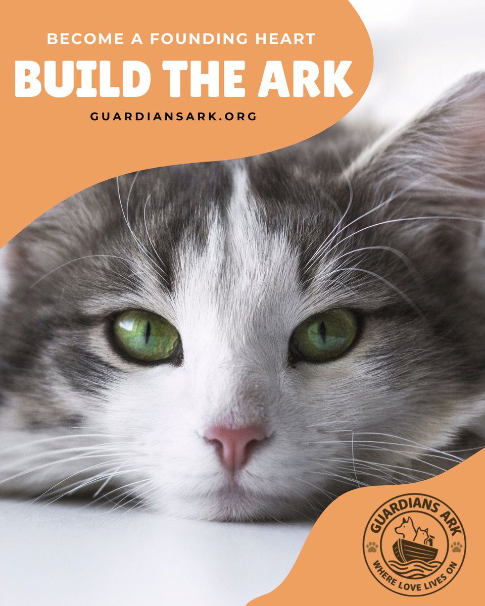 Guardians Ark (@Guardians_Ark) / Posts / X
