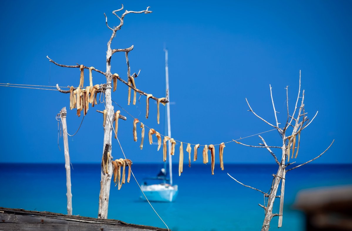 Turismo Illes Balears tweet media