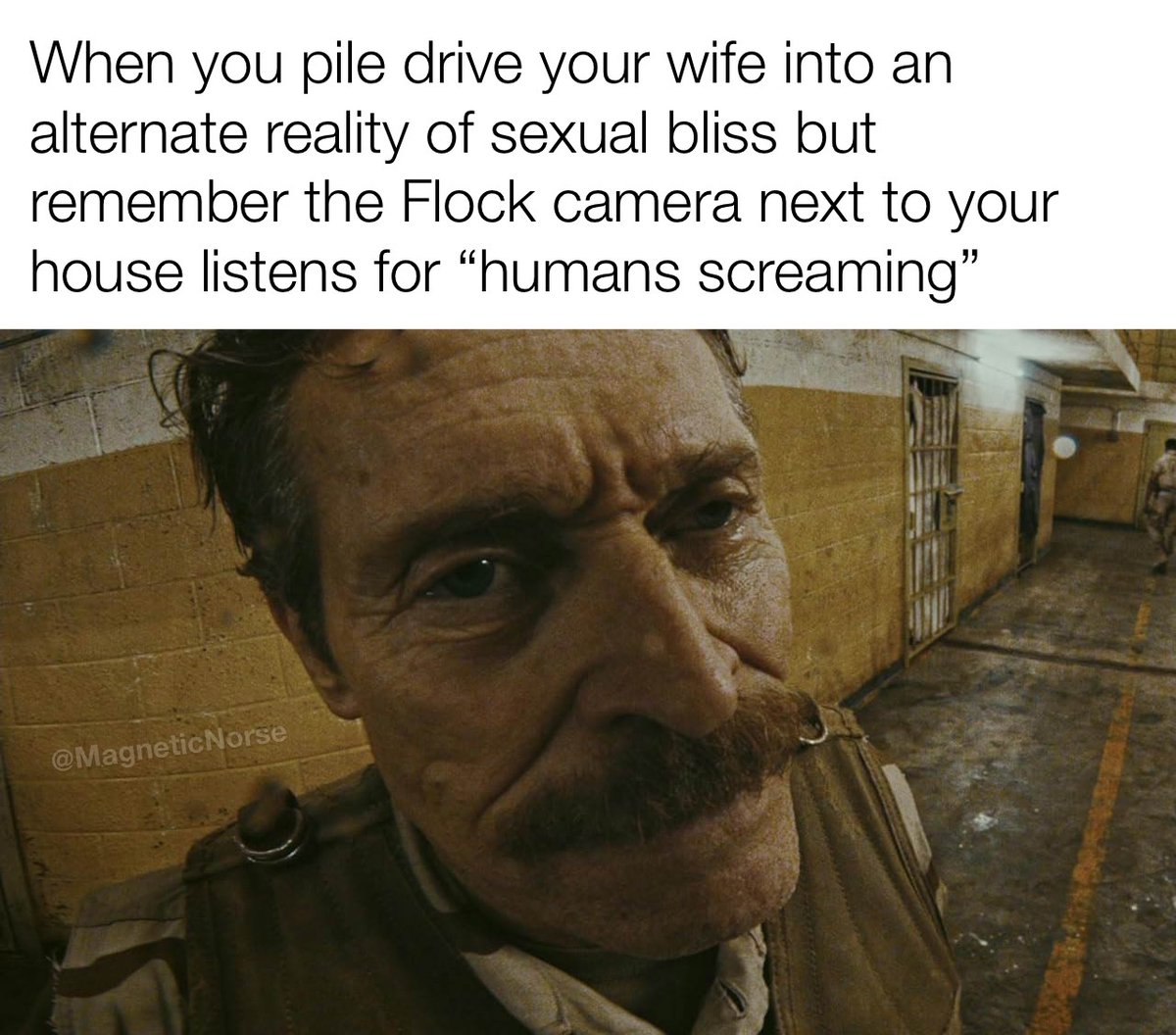 MagneticNorse's tweet photo. Haven’t done a meme dump in a while. 

Let’s see what you’ve been working on. https://t.co/T5qY6DZGL7