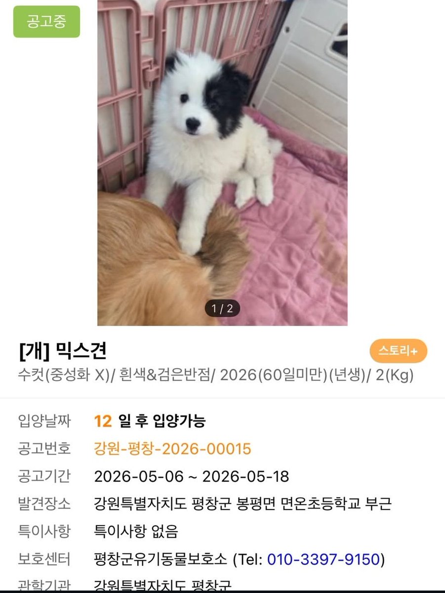 신하🐶영이 tweet media