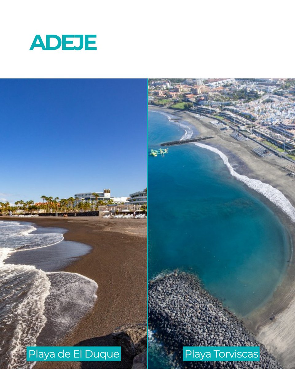 AMT Sol y Playa tweet media