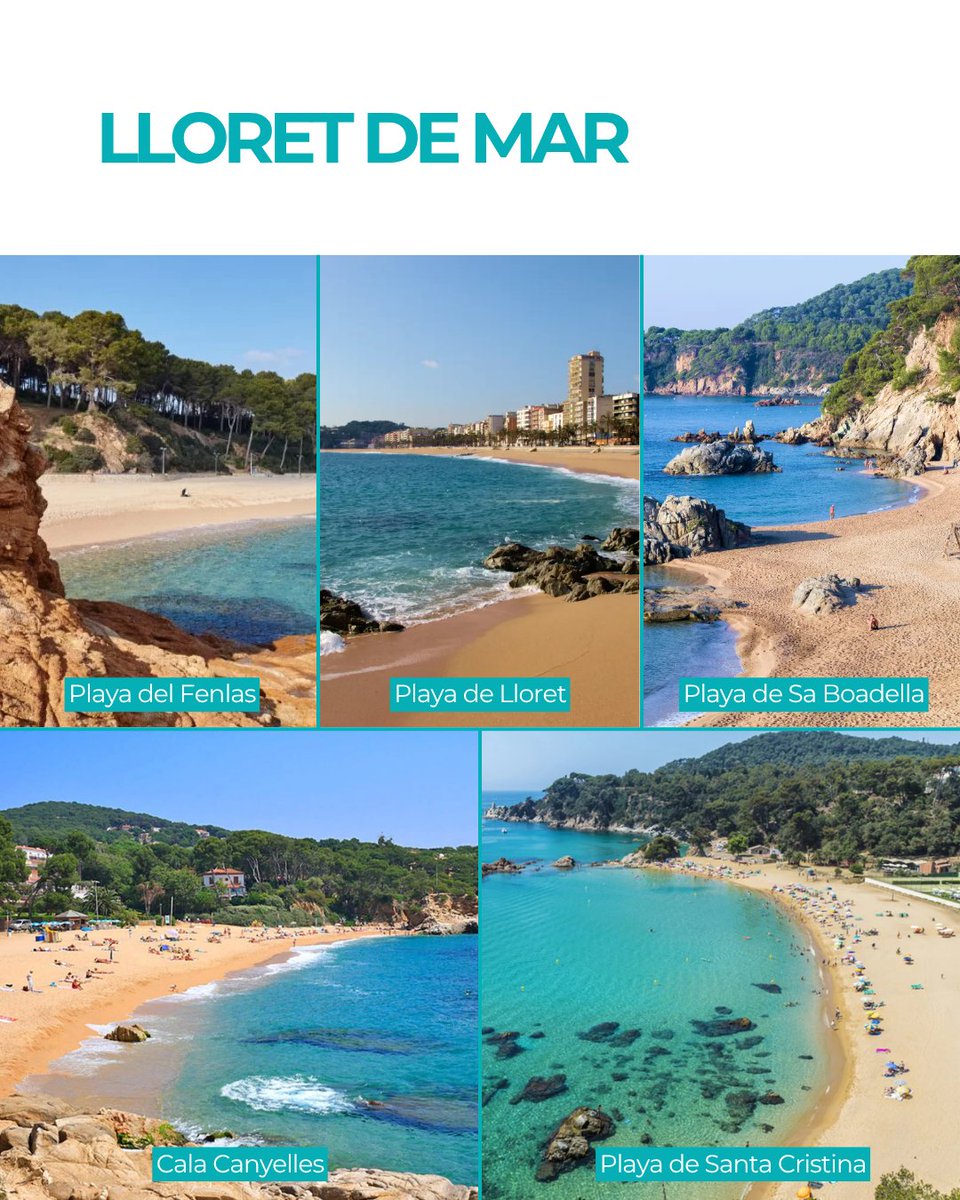 AMT Sol y Playa tweet media