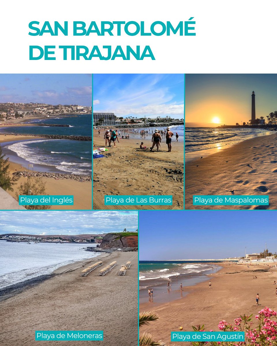 AMT Sol y Playa tweet media