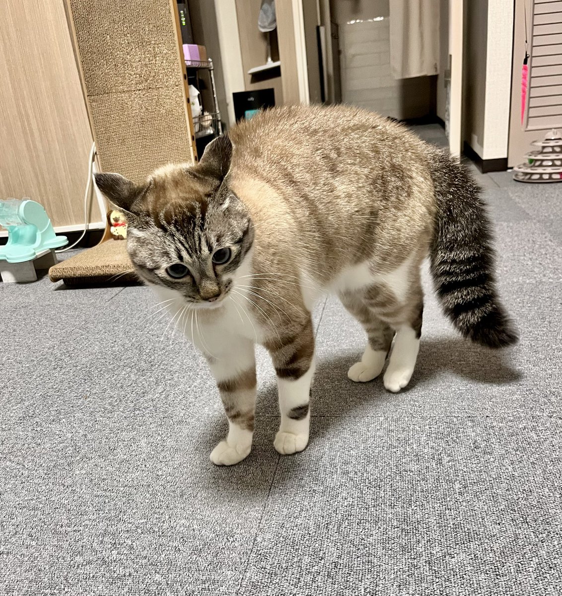 明日は休みだからね　やりたい放題よ