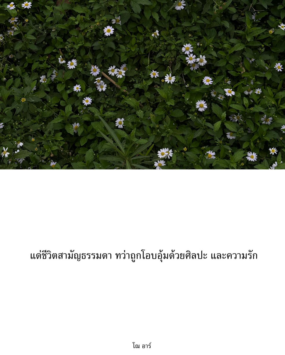 norr tweet media