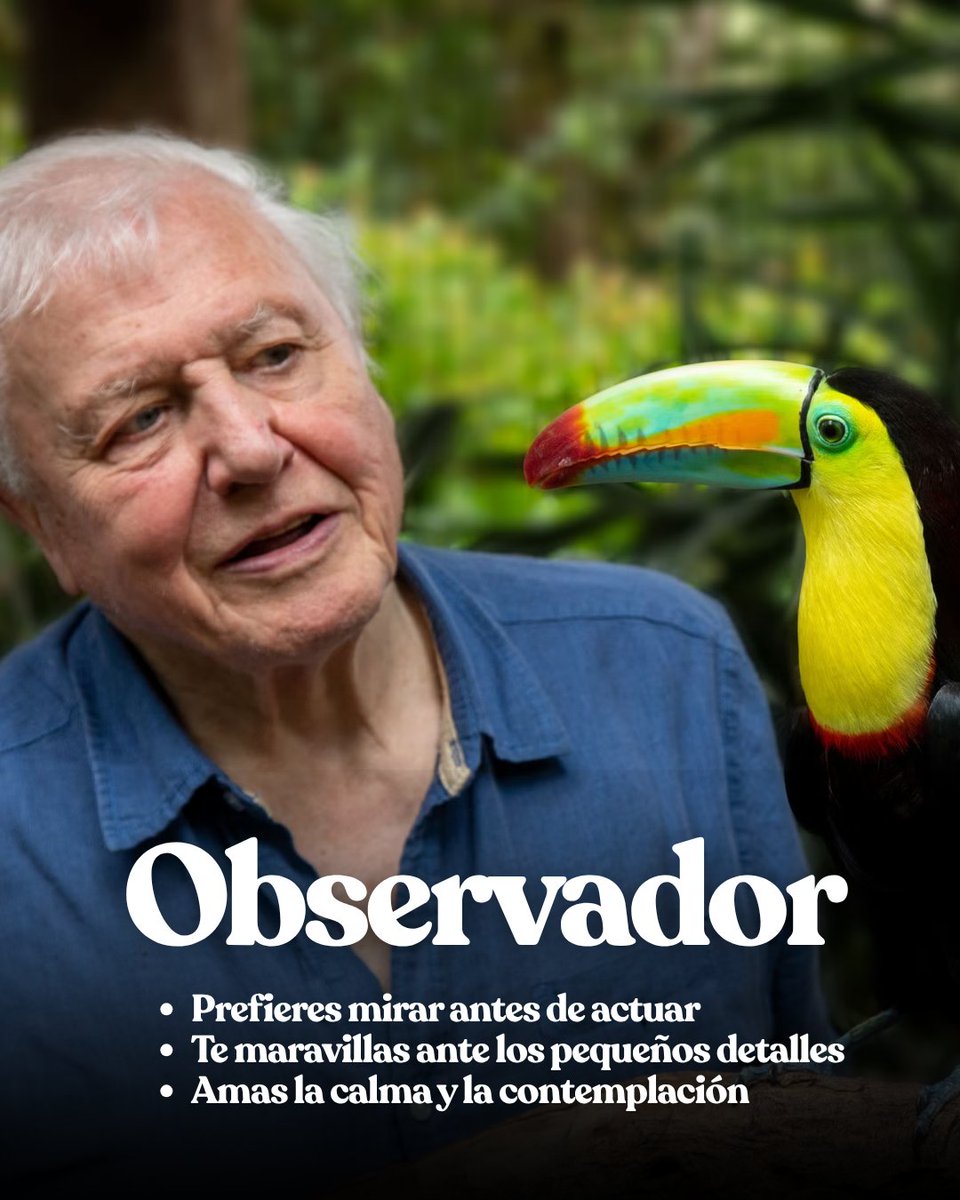 UK in Ecuador 🇬🇧🇪🇨 tweet media