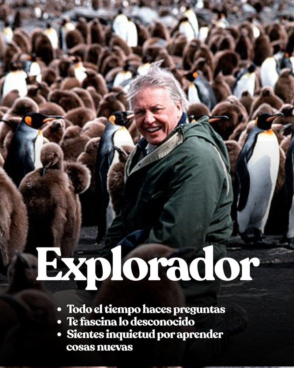 UK in Ecuador 🇬🇧🇪🇨 tweet media