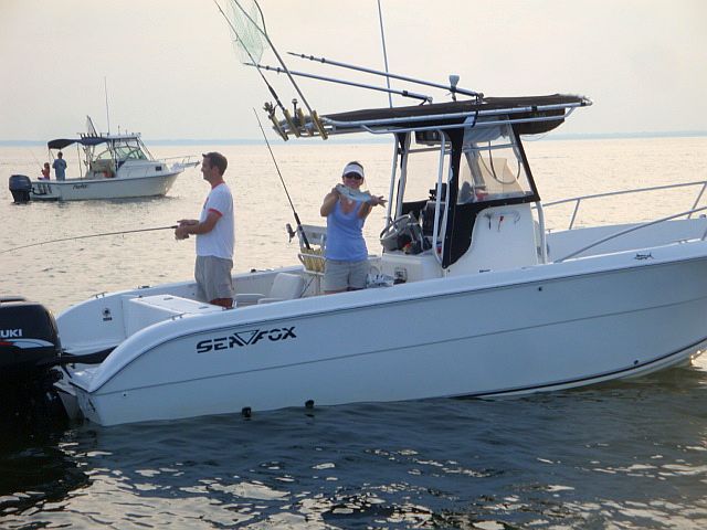 MD Fishing & Boating tweet media