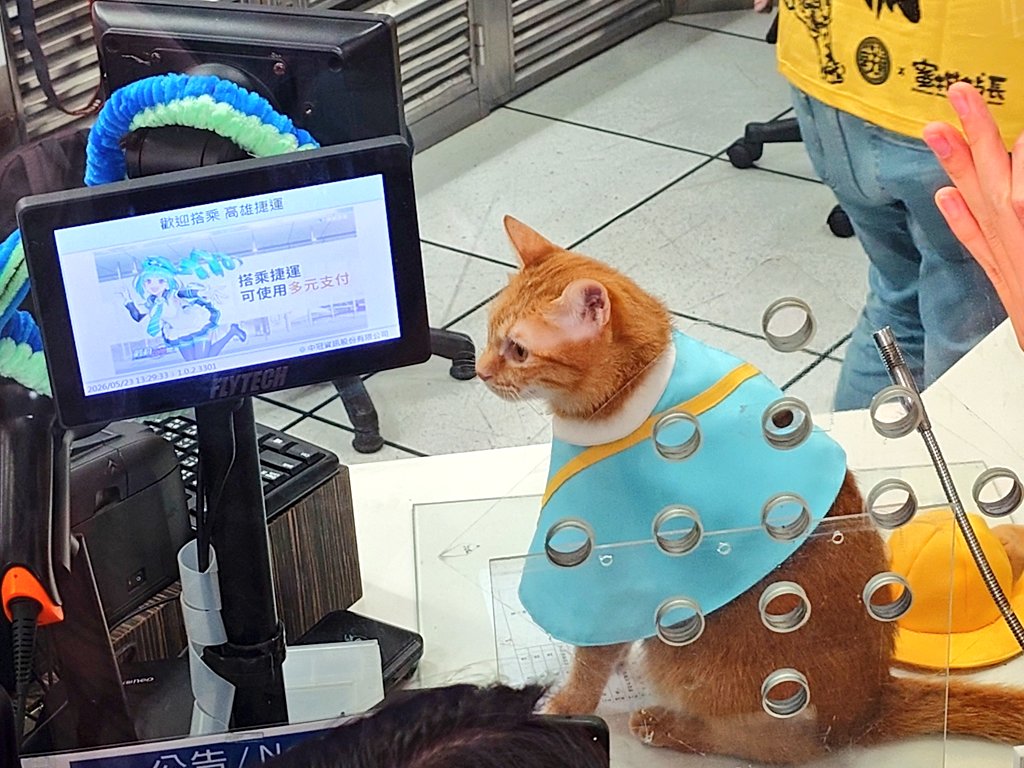 kuroinuyu_108's tweet photo. 台湾・高雄MRT橋頭糖廠駅の現駅長である「蜜柑(Mikan)駅長」
かわいさ担当で、切符は売らない駅長 

#towavel https://t.co/uf0vffFzc4