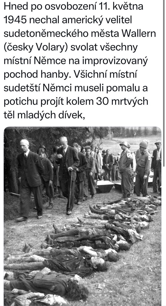 Beran tweet media