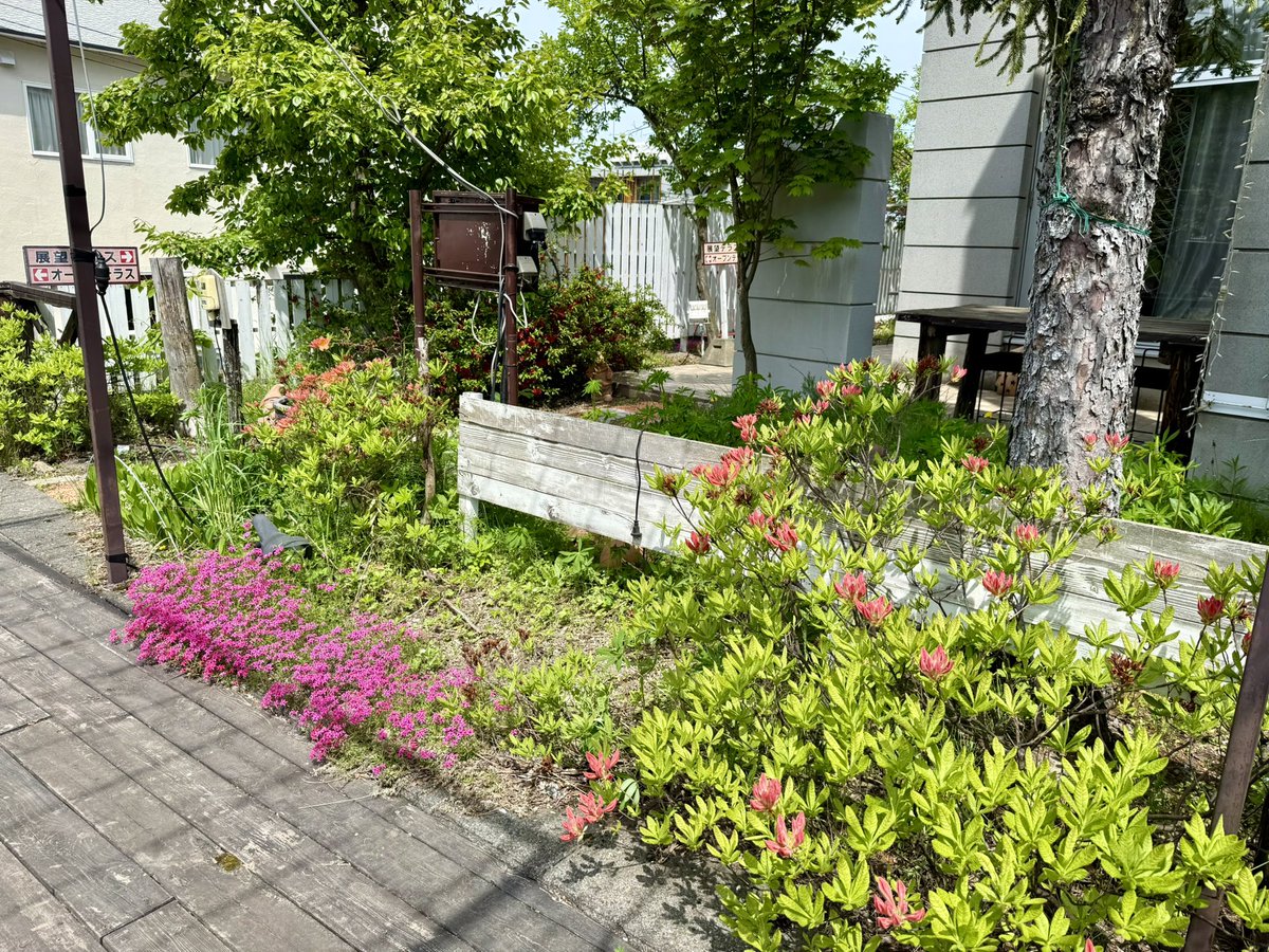 naturwald's tweet photo. だんだん夏っぽくなって来ました☀️ https://t.co/sXb6LwCgfp