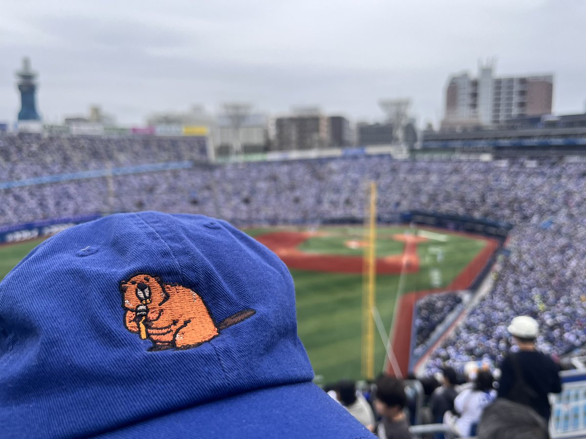 なんかの菌　水族館の本とグッズ tweet media
