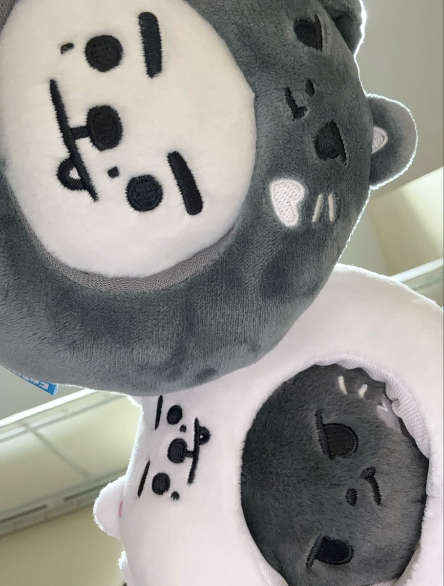 cheezzong's tweet photo. 흑백즈를 믿기 vs 오랑이를 믿기 https://t.co/b1wz0vx7xg