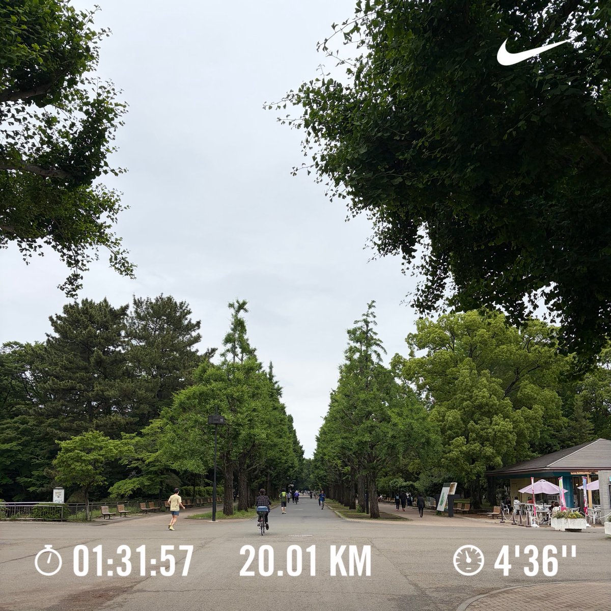 haroki18's tweet photo. 朝ラン20.01km🏃‍➡️👟💨
@4'36"
今日は涼しくて走りやすかった☺️ https://t.co/p7IQuQbVlv