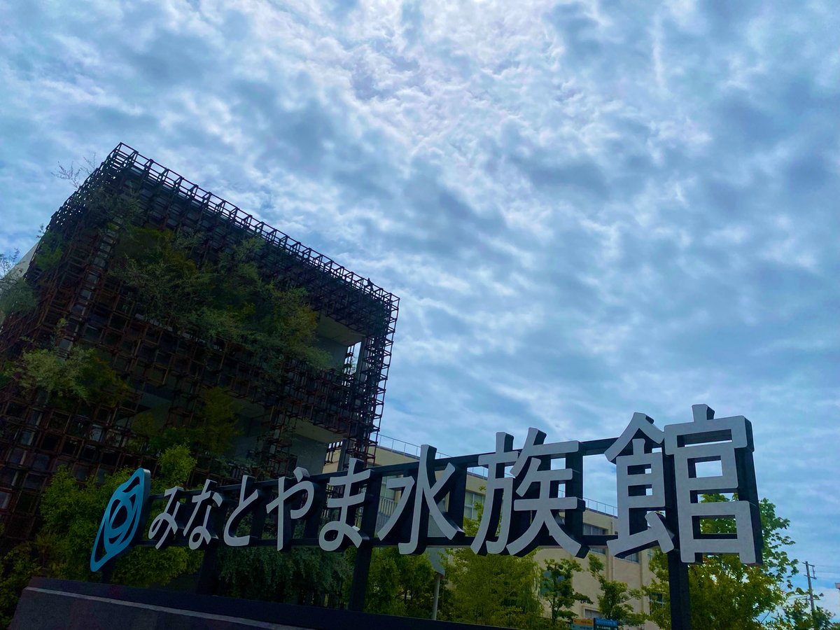 よもぎ tweet media
