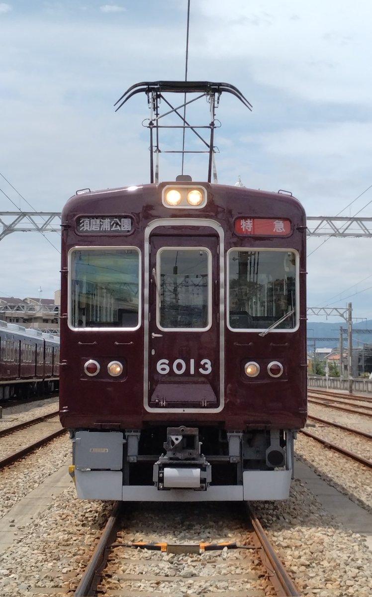 土・日・旅人(donichi_tabito) tweet media