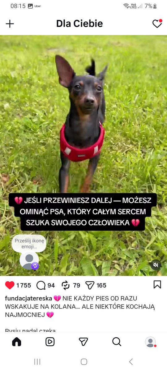 PiPi 💅 #silnaosobno tweet media