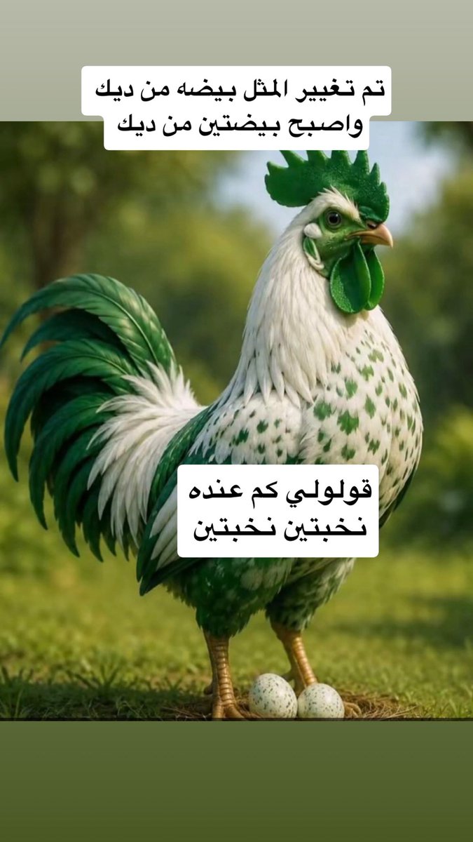 ابوفيصل tweet media