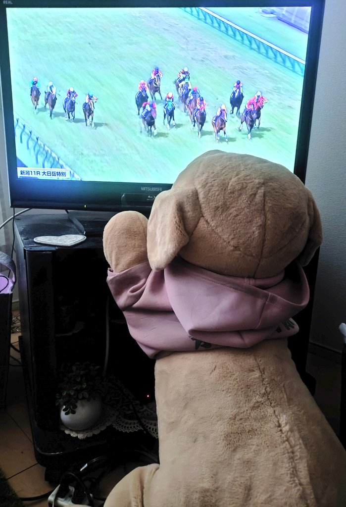 next_onlyone's tweet photo. 競馬にかぶりつく犬のぬいぐるみ

ぅむ(・_・)ぅむ https://t.co/Irf9Qxx49i