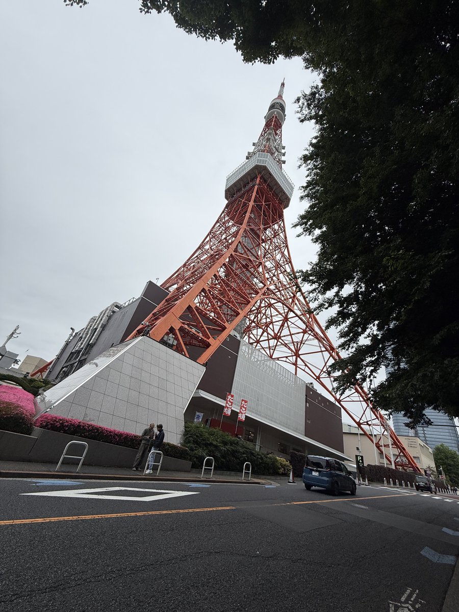 あむじむ tweet media