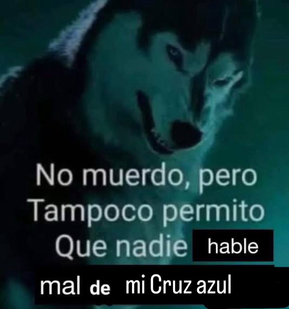 Chemo Misterioso tweet media