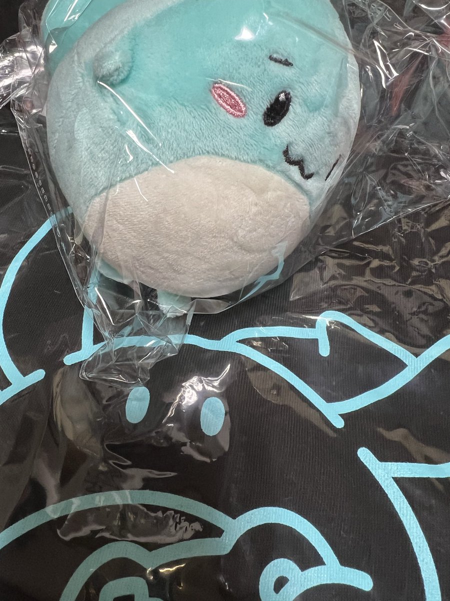rencon2525's tweet photo. すももぬいとTシャツ届いた！！
小さめで飾れるのが欲しいって思ってたので嬉しい☺️
尻尾が思ったよりでかくてかわいい

#すもも https://t.co/rzR8N24aO4