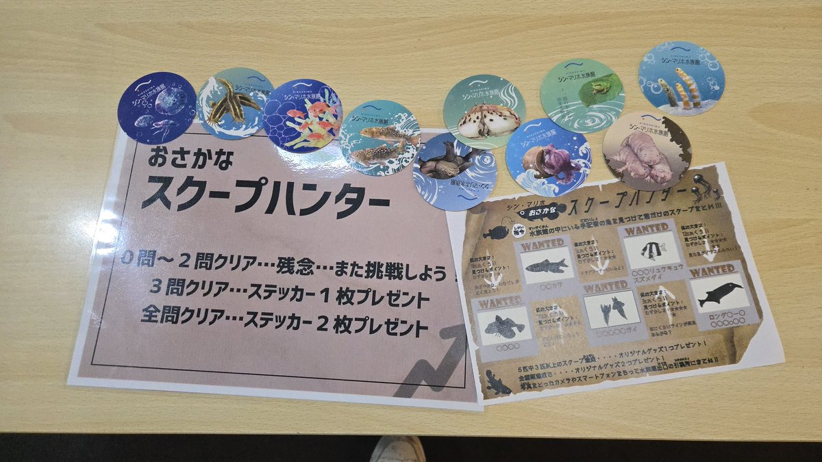 Shin_MAQ's tweet photo. 本日はイベント｢スクープハンター｣実施中！
クリアでシン・マリホ水族館オリジナルステッカーをプレゼント！
是非お待ちしています！ https://t.co/cAFPKt2c19