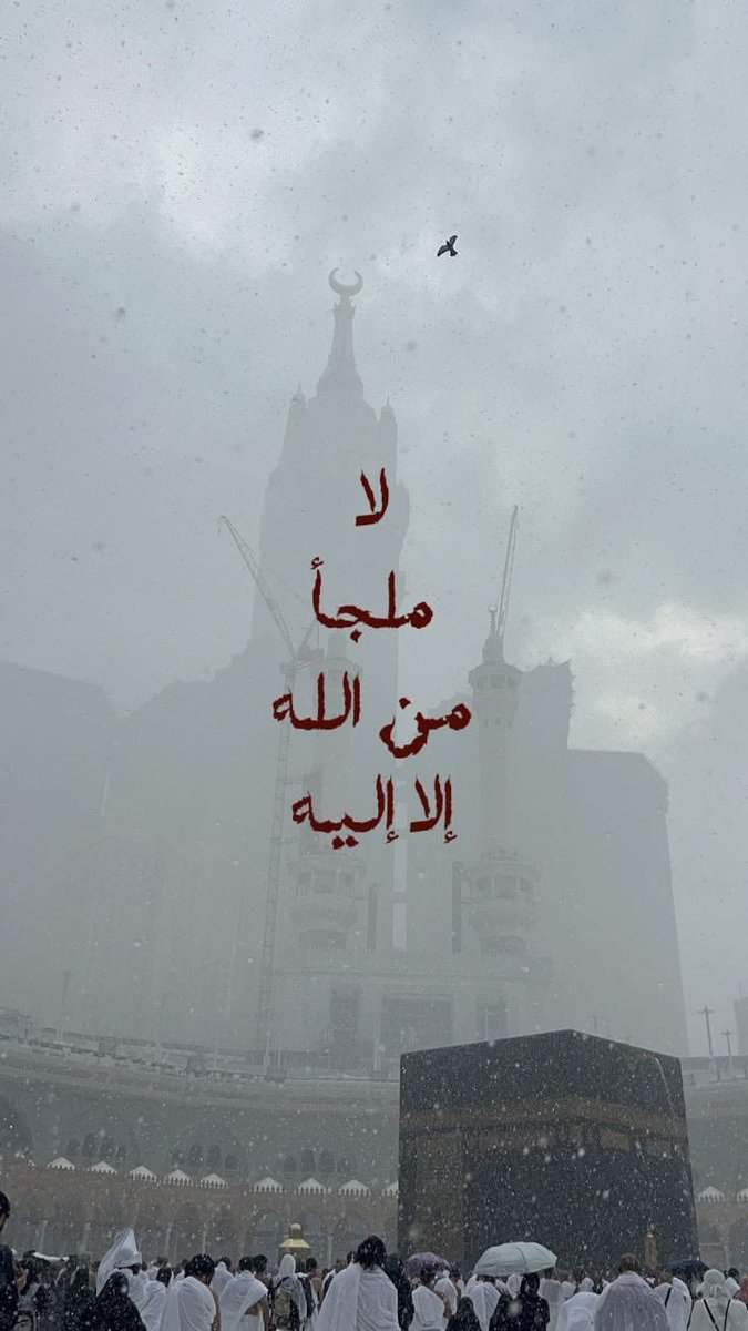 ذكر tweet media