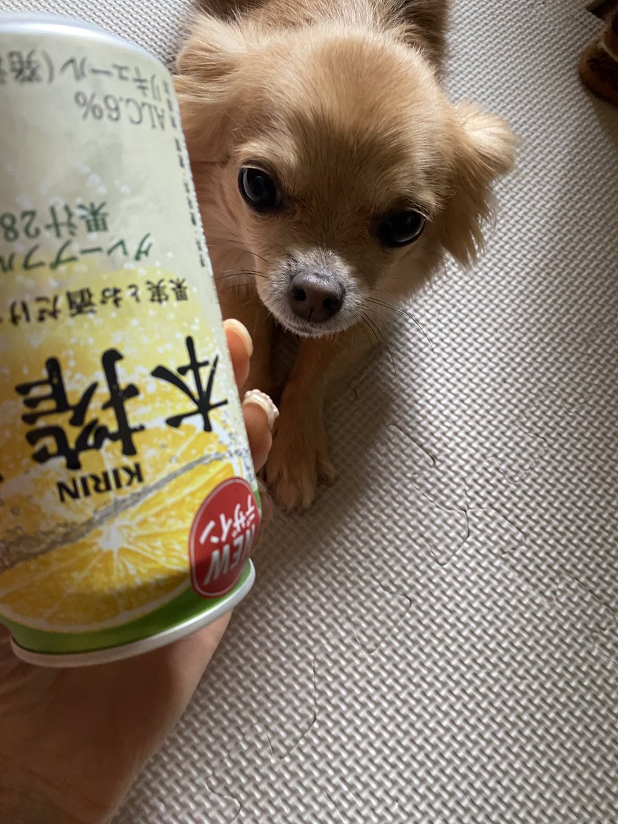 なっつん tweet media