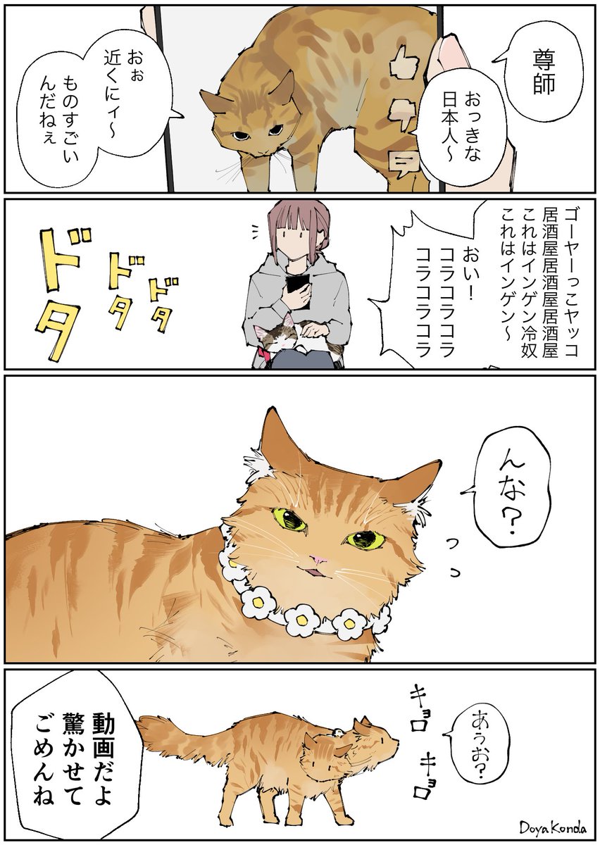戸屋こんだ tweet media