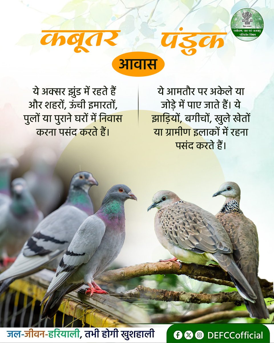 Department of Environment, Forest & Climate Change tweet media