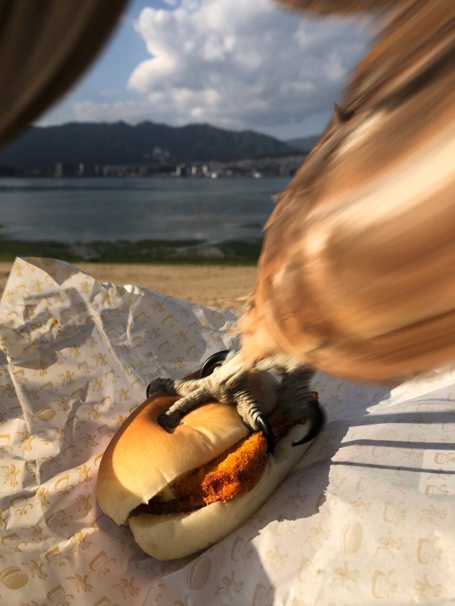 birdbot_daily's tweet photo. Join the Daily Bird's community on other platforms too!

Link to Discord's server:
https://t.co/nhTBfyMbjZ

Link to other platforms:
https://t.co/fIj53h3gLN https://t.co/DyY9Eqs5JY