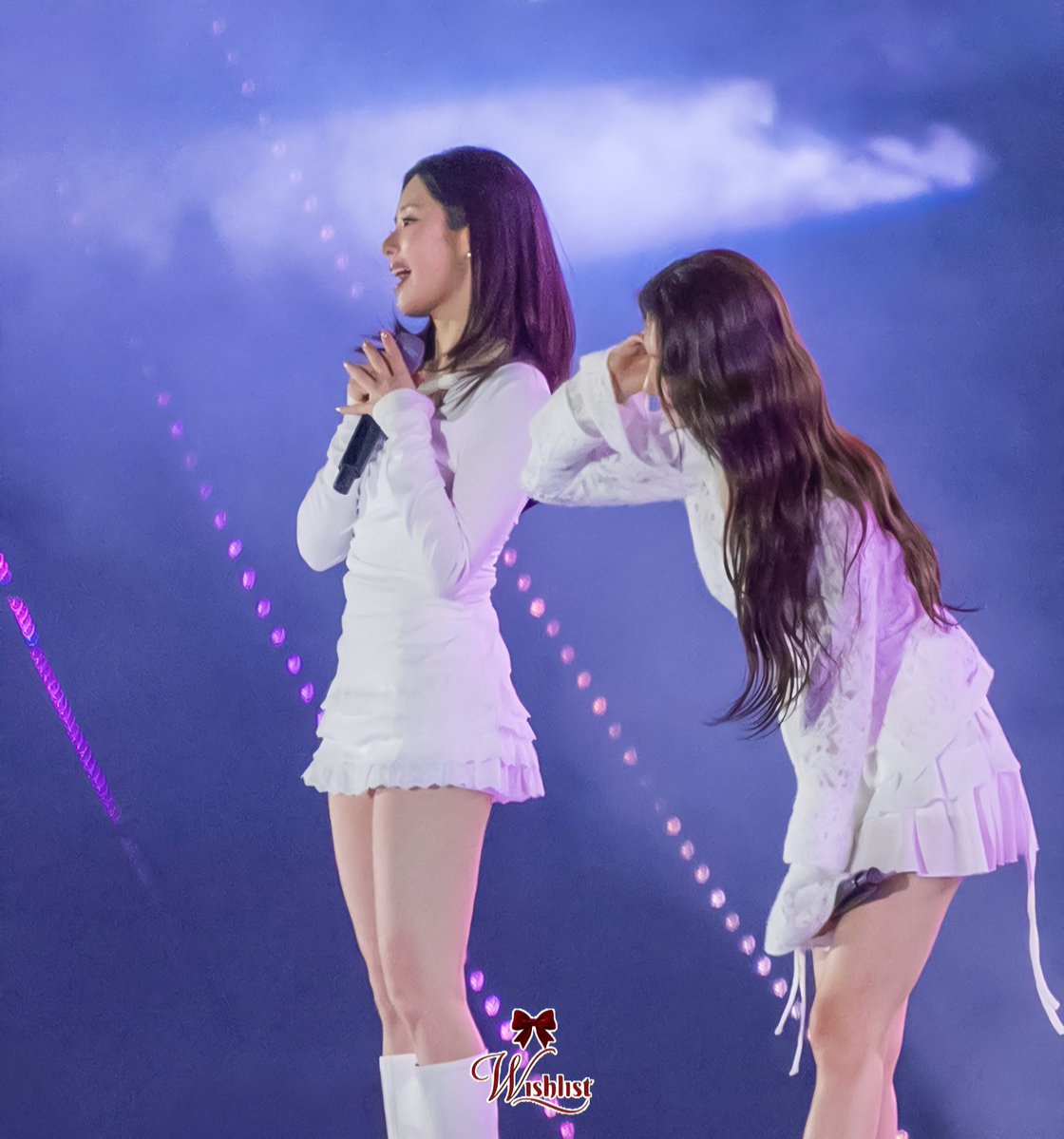 위시리스트 tweet media