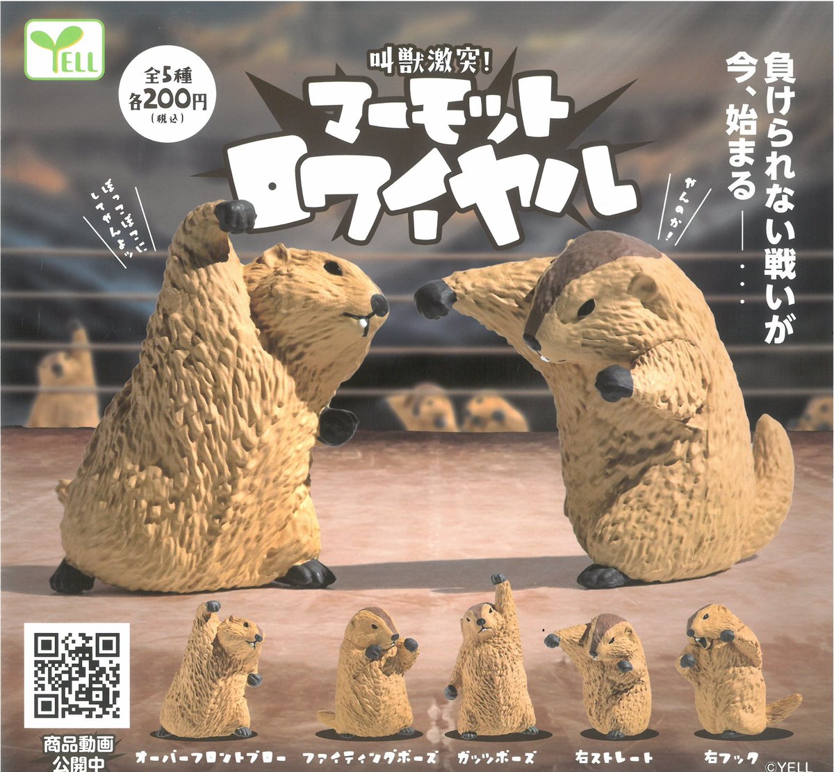 🐼5月23日(土)完売のお知らせ🐼 ❌叫獣激突！マーモットロワイヤル