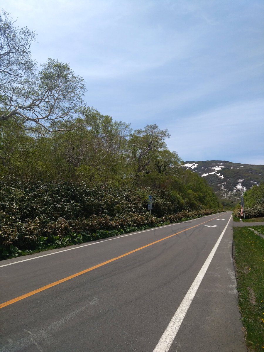 Bamboo_Racing's tweet photo. @twingo1st 情報ありがとうございます！
今日は山しか走ってません😇 https://t.co/LEUsHrbpIS