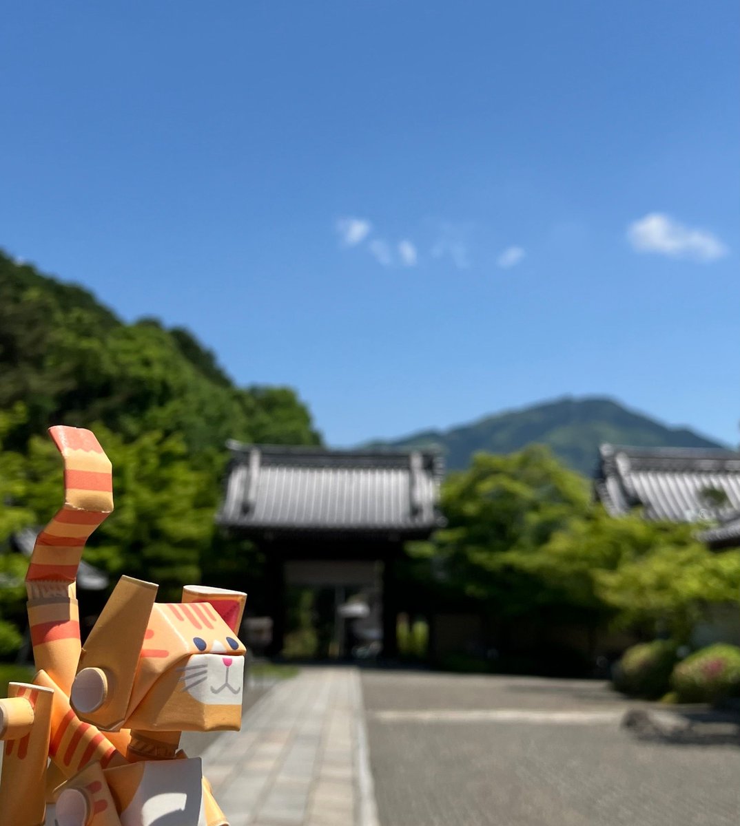PIPEROID_jp's tweet photo. #妙満寺

#比叡山 #青空 #春 #写真好きとつながりたい

#パイプロイド #PIPEROID #フィギュア #figure #Papercraft
#ペーパークラフト #紙製品 #paperproducts #手作り #紙工作
#手作り雑貨 #ハンドメイド #Handmade #紙もの #紙
#京都観光 #京都旅行 https://t.co/C6xYq6qaoL